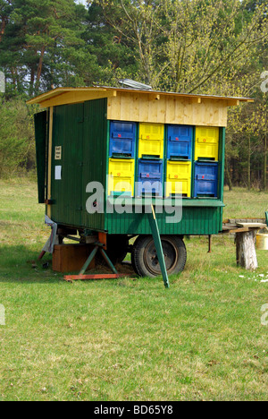 Bienenwagen Bienenstöcke 05 Stockfoto