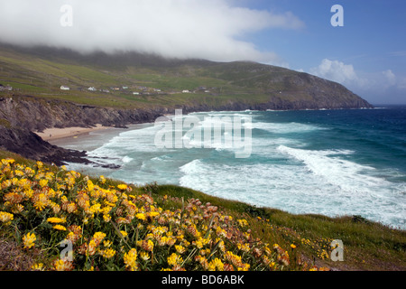 Dunmore Head mit Blick auf Slea head Dingle Irland Stockfoto