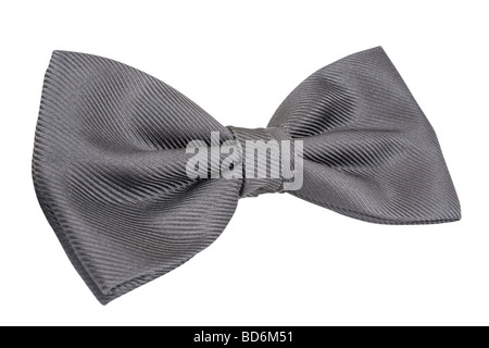 Silberne Fliege isoliert auf weißem Hintergrund. Stockfoto