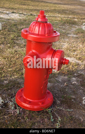 Rote Fireplug auf vernachlässigten Rasen. Stockfoto