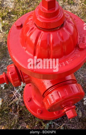 Rote Fireplug auf vernachlässigten Rasen. Stockfoto