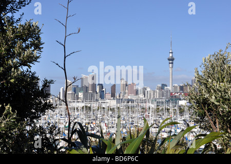 Auckland City von Shelly Beach Road Exit der Auckland Harbour Bridge in Richtung der Sky Tower über Westhaven Marina suchen. Stockfoto