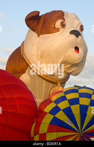 Bristol Hot-Air Balloon Fiesta 2009, Start drei Ballons am frühen Morgen vorbereiten einschließlich der Churchill-Hund Stockfoto