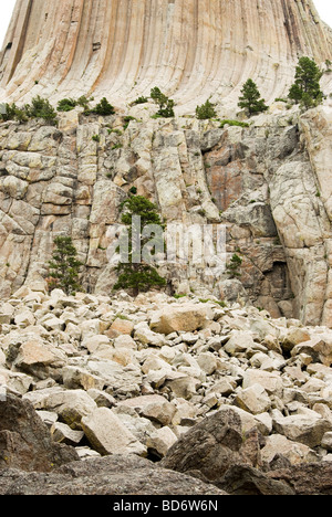 Ansicht des Devils Tower National Monument in Wyoming Stockfoto