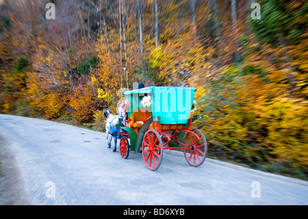 Wagen in Abant Park in der Türkei im Herbst Stockfoto