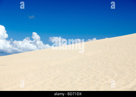 Düne von Pyla, Dune du Pilat, Arcachon, Gironde, Aquitanien, Südfrankreich, Frankreich, Europa Stockfoto