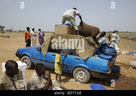 Laden die Fische fangen auf ein Auto zum Verkauf auf dem Markt, am Lagdo-See, nördlichen Kamerun, Kamerun, Afrika Stockfoto