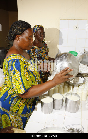 Frauen arbeiten in der Produktion von Joghurt in einer Molkerei, Maroua, Kamerun, Afrika Stockfoto