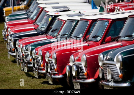 Eine Reihe von Mini Cooper Autos an den 50. Jahrestag Rallye markiert die Geburt des Mini, Birmingham, England, UK Stockfoto