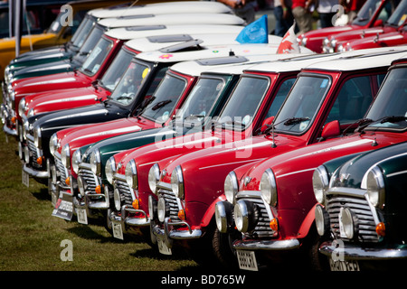 Eine Reihe von Mini Cooper Autos an den 50. Jahrestag Rallye markiert die Geburt des Mini, Birmingham, England, UK Stockfoto