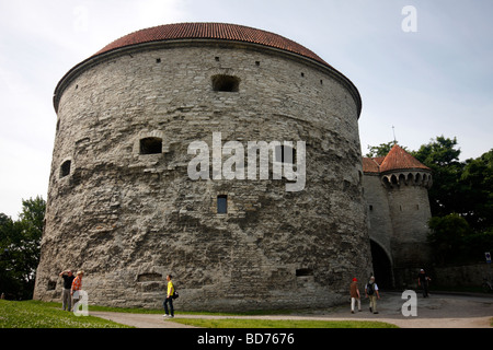 Kanone Turm an der Stadtmauer in der Altstadt von Tallinn, Estland mit Touristen Stockfoto