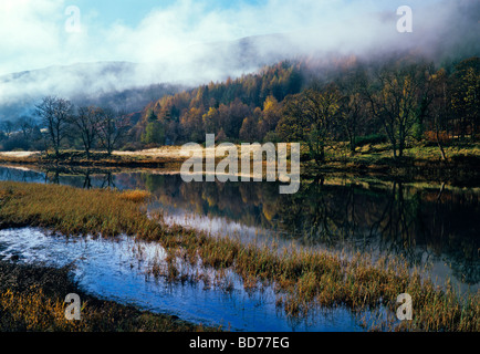 Am frühen Morgen über einen ruhigen und friedlichen Fluss in The Trossachs National Park anzeigen Stockfoto