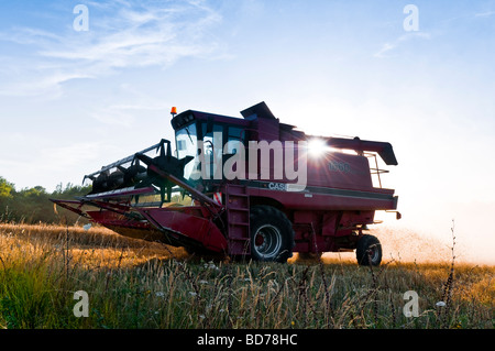 Case International 1660 Mähdrescher - Ernte von Getreide und Staubbelastung, Sud-Tourine, Frankreich. Stockfoto