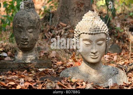 Buddha-Kopf am Wat Umong in Chiang Mai, Thailand Stockfoto