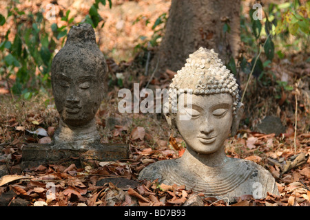 Buddha-Kopf am Wat Umong in Chiang Mai, Thailand Stockfoto