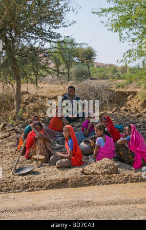 Indische Frauen, Saris, arbeiten, Reparatur der Straße Narlai, Rajasthan, Indien Stockfoto