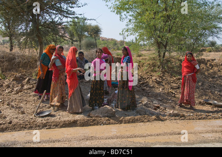 Indische Frauen, Saris, arbeiten, Reparatur der Straße Narlai, Rajasthan, Indien Stockfoto