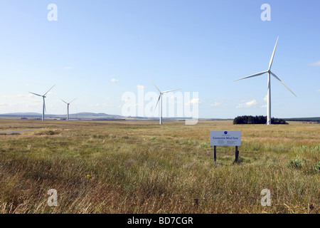 Causeymire Windpark in Caithness, Schottland in der Nähe von Thurso Stockfoto