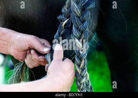 Verschiedene Szenen auf der Ripley jährlichen Show in Ripley, North Yorkshire, UK Stockfoto