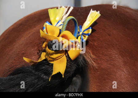 Verschiedene Szenen auf der Ripley jährlichen Show in Ripley, North Yorkshire, UK Stockfoto