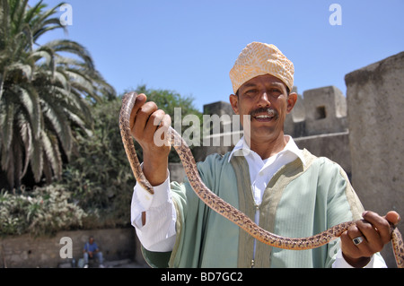 Snake Charmer Holding Schlange, Medina, Marokko, Tanger, Tanger-Tétouan Region Stockfoto