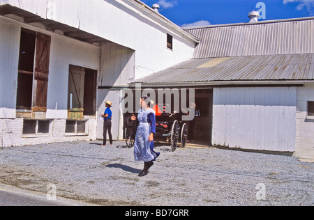 Amische junge Mädchen mit Pferd Buggy in Scheune Stockfoto