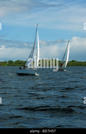 Segelboote auf Lough Ree, Fluss Shannon, Irland Stockfoto