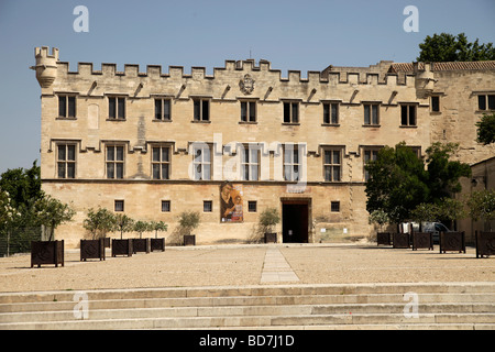 Petit Palais Museum in Avignon Provence Frankreich Europa Stockfoto