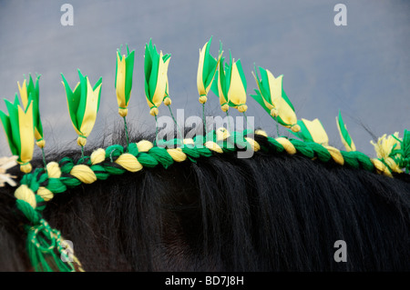 Verschiedene Szenen auf der Ripley jährlichen Show in Ripley, North Yorkshire, UK Stockfoto