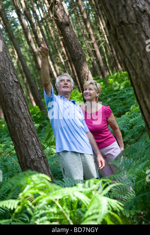 Reifes Paar in Woodland, norfolk, england Stockfoto