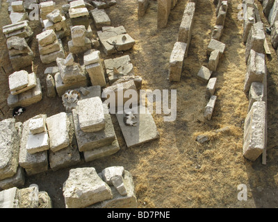 Katzen schlafen in Schutt und Asche im largo Argentina Cat Sanctuary in Rom Stockfoto