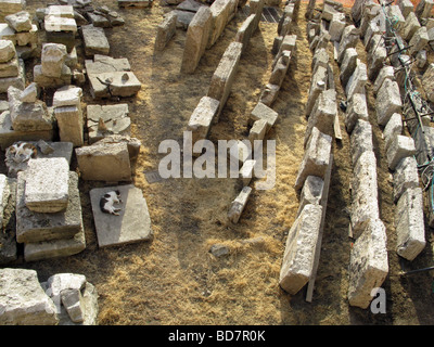 Katzen schlafen in Schutt und Asche im largo Argentina Cat Sanctuary in Rom Stockfoto