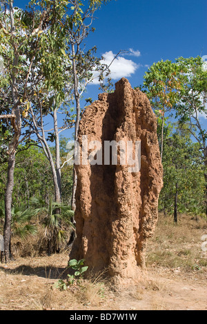 Ein riesigen Termite Hügel steht im Litchfield National Park in der Nähe von Darwin im Northern Territory Australiens Stockfoto