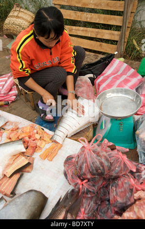 Ein Stallhalter auf Luang Prabangs Lebensmittelmarkt portioniert einen großen Süßwasserfisch Stockfoto