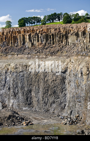 Ein Steinbruch mit Basaltsäulen am Chastreix (Puy de Dôme - Frankreich). Ein Chastreix, Une Carrière Avec des Orgues Basaltiques (Frankreich) Stockfoto