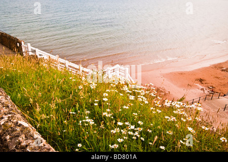 Auf der Suche nach unten am Strand die Jakobsleiter, Sidmouth, Devon, UK Stockfoto