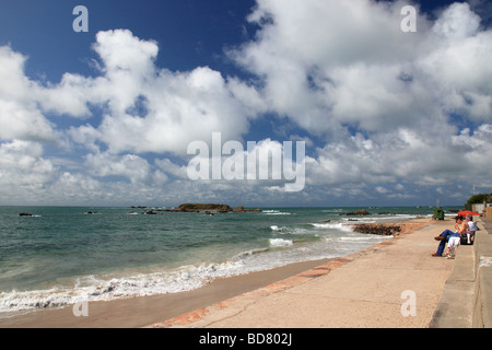 St. Clemens Bucht und grüne Insel Jersey Kanalinseln Stockfoto