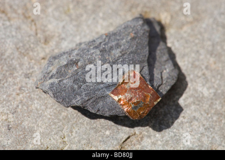Fools Gold oder Eisen Pyrit in Schiefer Felsen Stockfoto