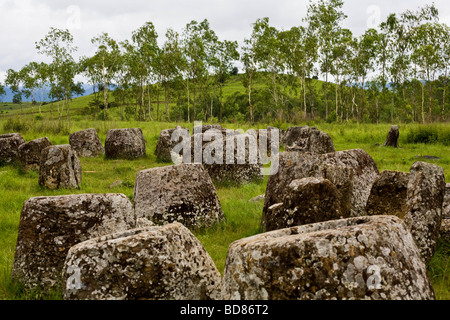 Einem belebten Teil von Plain of Jars in der Nähe von Phonsavanh Laos Stockfoto