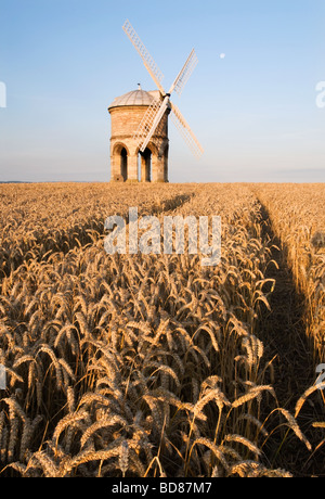 Anfang Sommer Morgenlicht bei Chesterton Mühle, Warwickshire Stockfoto