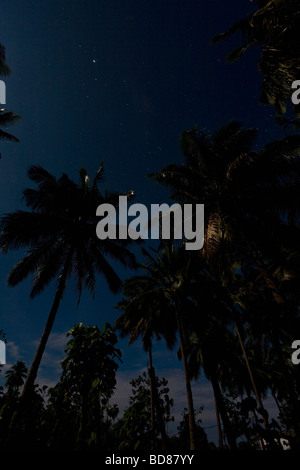Vollmond über Palmen auf Ambrym Stockfoto