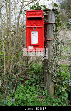 Eine rote Royal Mail-Postfach befindet sich auf einem hölzernen Pfosten in ländlicher Umgebung. Stockfoto