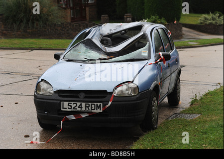 Schaden, der ein Auto nach ein Baum oben drauf fiel nach Blitzeinschlages droht bei einem schweren Sturm sumer Stockfoto