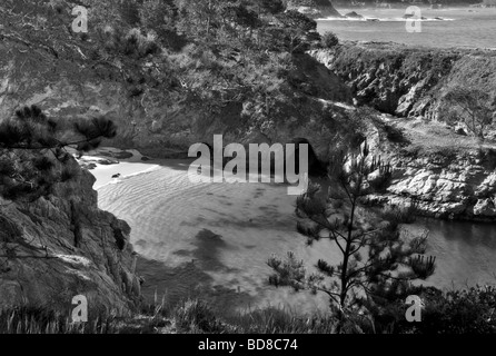 China Strand mit Kalifornien Seehunde am Strand Point Lobos State Reserve Kalifornien Stockfoto