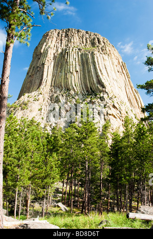 Ansicht des Devils Tower in Wyoming Stockfoto