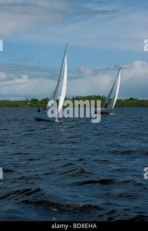 Segelboote auf Lough Ree, Fluss Shannon, Irland Stockfoto