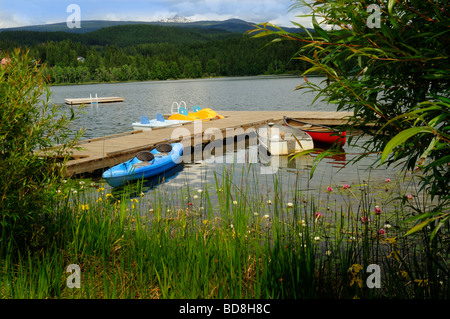 Die Seerosen auf der schönen und ruhigen Holländer See in Clearwater, Britisch-Kolumbien, Kanada Stockfoto