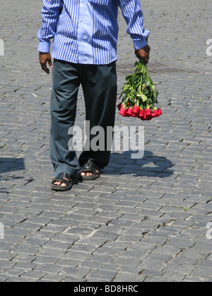 asiatische Einwanderer verkauft Rosen für Touristen in Rom Italien Stockfoto