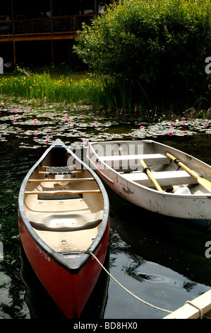 Boote unter den Seerosen an der schönen und ruhigen Holländer See in Clearwater, Britisch-Kolumbien, Kanada Stockfoto