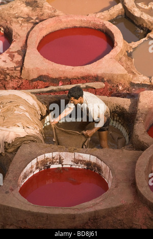 Mann arbeitet in der Gerberei Fez Marokko Nordafrika Stockfoto